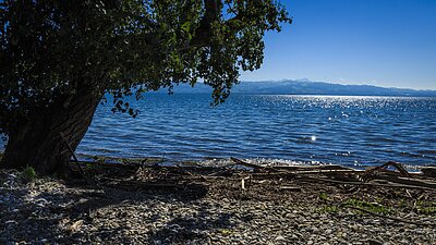 Wichtige Trinkwasserressource Bodensee (Fotograph: Tommy_Rau, Pixabay)